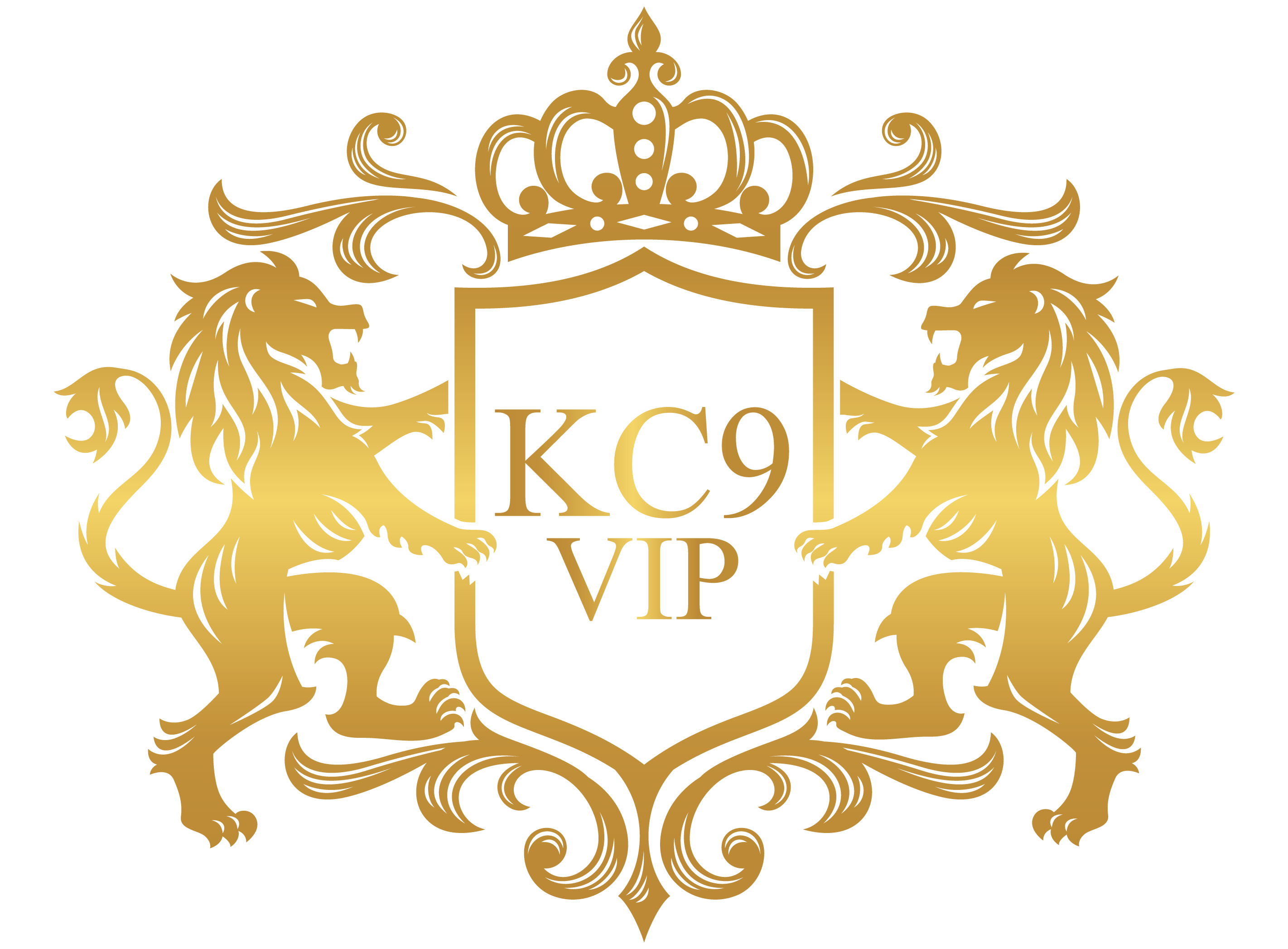 kc9 vip logo